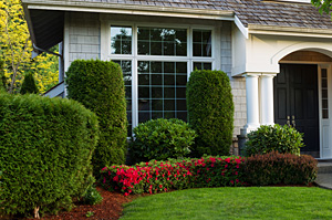 Landscaping Issues - Foundation Repair