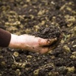 Foundation Repair soil